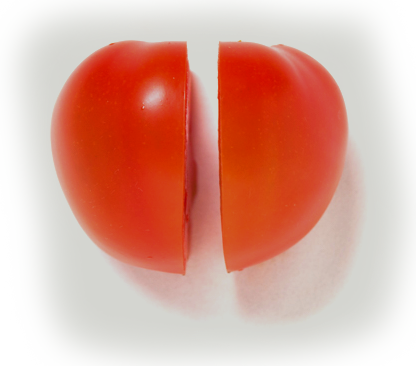 02_yasai_tomato_03